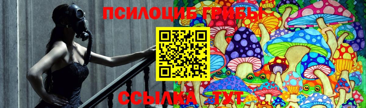 Искитим  Галлюциногенные грибы мицелий  где купить наркоту  Вход с VPN 